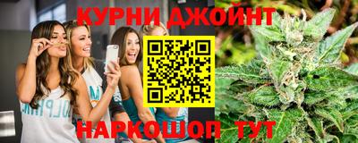 прущие грибы Усть-Джегута