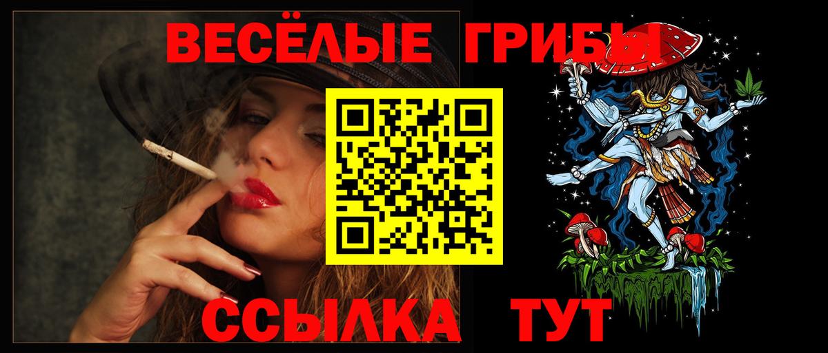 Псилоцибиновые грибы Psilocybine cubensis Сургут